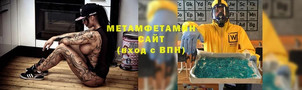 шишки Березники