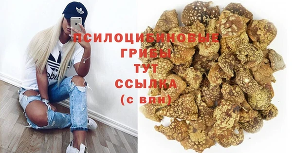 трава Кукмор