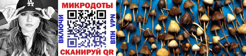 блэк спрут ссылка  Феодосия  Псилоцибиновые грибы прущие грибы  дарнет шоп 